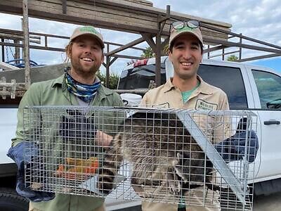 Charlottesville pest control